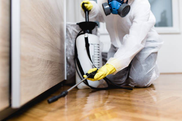 Best Best Pest Control Near Me  in East Cleveland, OH