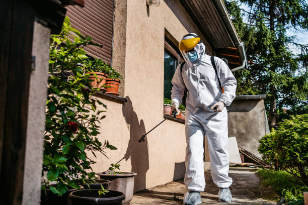 Best Pest Control Near Me in East Cleveland, OH