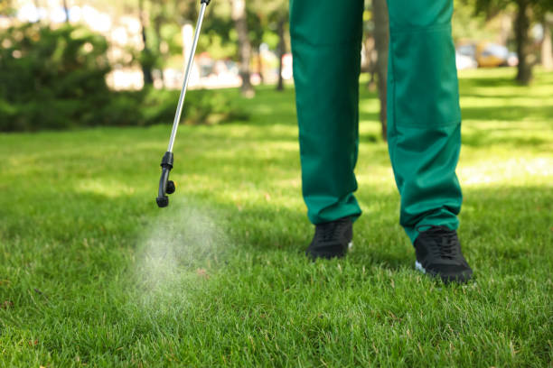 Best Local Pest Control Services  in East Cleveland, OH