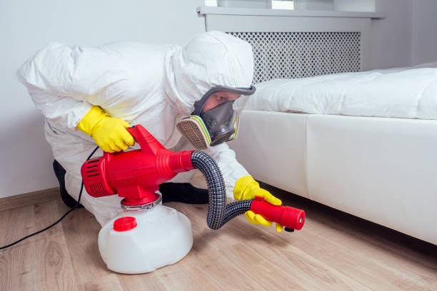 Professional Pest Control in East Cleveland, OH
