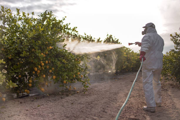 Best Pest Prevention Services  in East Cleveland, OH