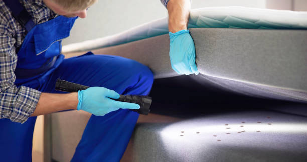 Best Bed Bug Extermination  in East Cleveland, OH