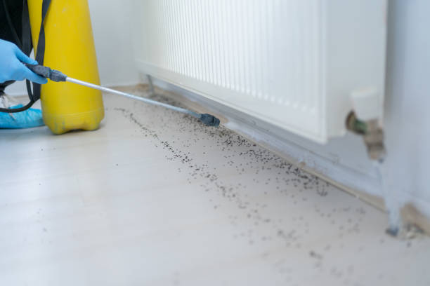 Best Pest Inspection Near Me  in East Cleveland, OH