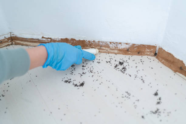 Best Wasp Removal Services  in East Cleveland, OH
